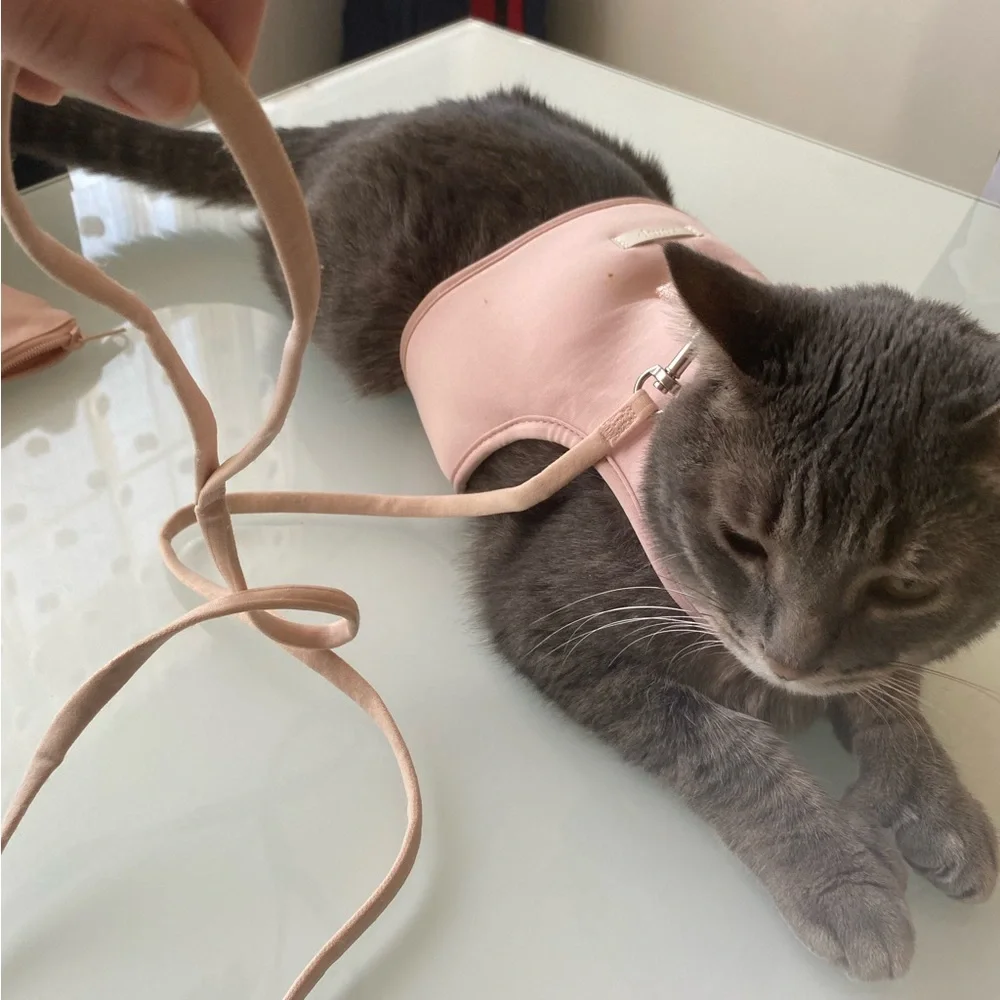 Leash for cat or dog with collar and a storing pouch.